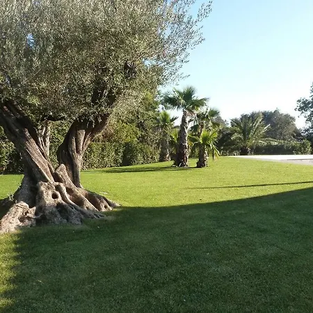 Villa Luxueuse Vue Avec Piscine Golfe De St Tropez 14 Personnes