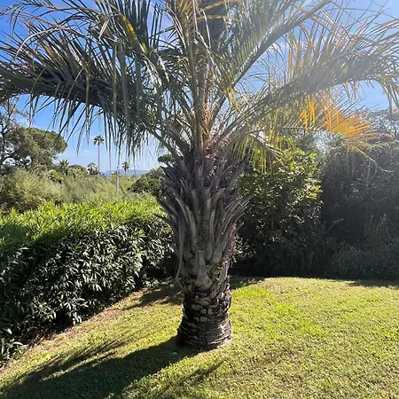 Luxueuse Vue Avec Piscine Golfe De St Tropez 14 Personnes *
