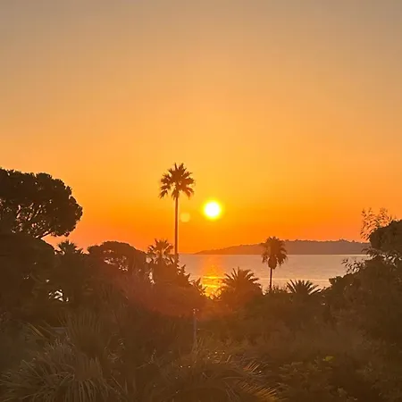 Luxueuse Vue Avec Piscine Golfe De St Tropez 14 Personnes * 그리모