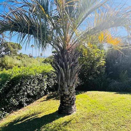 Luxueuse Vue Avec Piscine Golfe De St Tropez 14 Personnes *